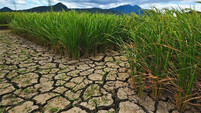 SAVE LAND UNITED FOR LAND